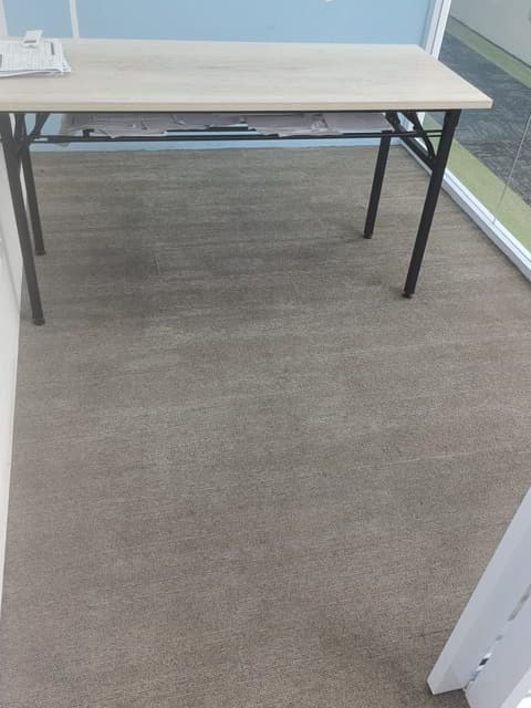 The same office carpet after Mr Clean & Clean cleaned it
