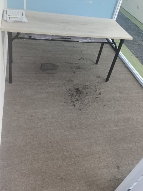 An office carpet with heavy stains under the desk, before cleaning